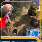 روز درخت کاری